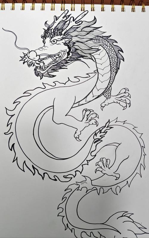 有沒有更簡短的龍霸氣圖片描述？