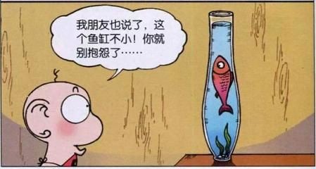 我的心愛之物魚缸里的小魚：—魚缸里的小魚常見疾病及防治方法