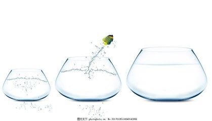 魚缸里的魚繪本：兒童繪本《數(shù)數(shù)魚缸里的魚》 魚缸里的魚繪本：兒童繪本《數(shù)數(shù)魚缸里的魚》 魚缸百科 第4張