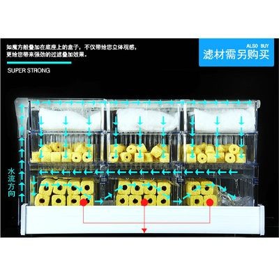 魚缸過濾器濾材擺放順序：如何判斷魚缸水質好壞，魚缸過濾器維護技巧