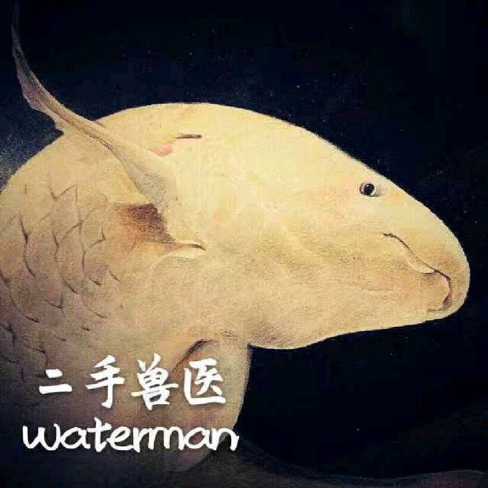 蝴蝶鯉多大開始長尾鰭