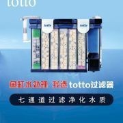 蝴蝶鯉多大開始長尾鰭