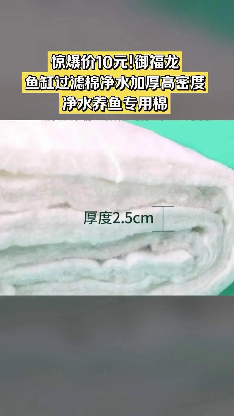 養(yǎng)龍魚過(guò)濾材料哪種好些呢