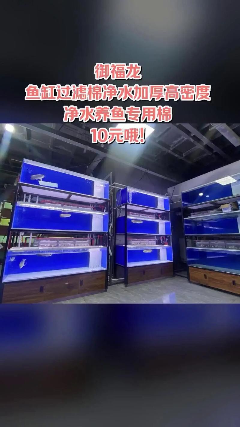 養(yǎng)龍魚過(guò)濾材料哪種好些呢