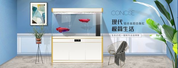 索浦魚缸品牌商標：索浦魚缸與國際品牌比較 索浦魚缸品牌商標：索浦魚缸與國際品牌比較 魚缸百科 第2張