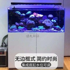 紅海魚缸底柜（紅海魚缸底柜如何選擇）