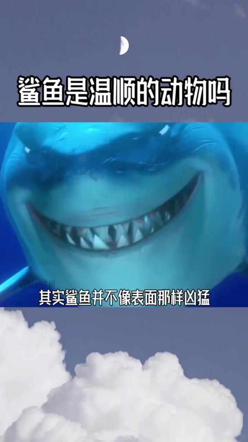 抖音鯊魚爆爆的照片大全大圖