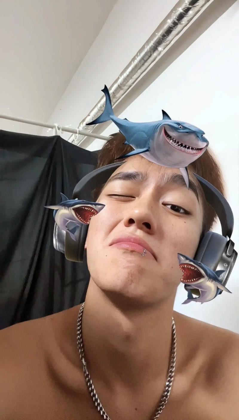 抖音鯊魚爆爆的照片大全大圖
