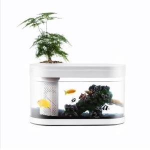 國內魚缸品牌有哪些:國內魚缸品牌【品牌排行榜前十名魚缸品牌排行榜 魚缸百科 第3張 國內魚缸品牌有哪些:國內魚缸品牌【品牌排行榜前十名魚缸品牌排行榜 國內魚缸品牌有哪些:國內魚缸品牌【品牌排行榜前十名魚缸品牌排行榜 魚缸百科 第3張