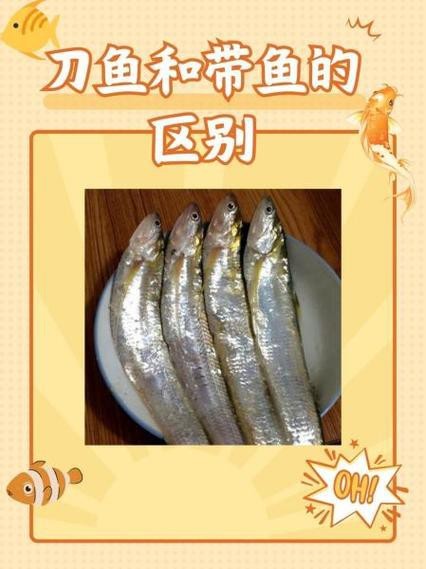 帶魚和刀魚的圖片