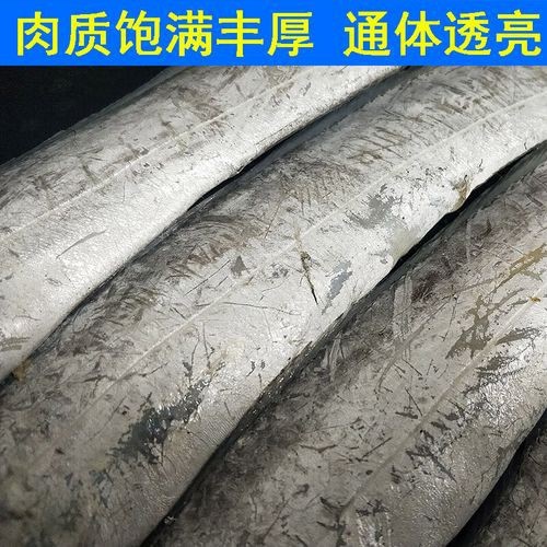帶魚和刀魚的圖片