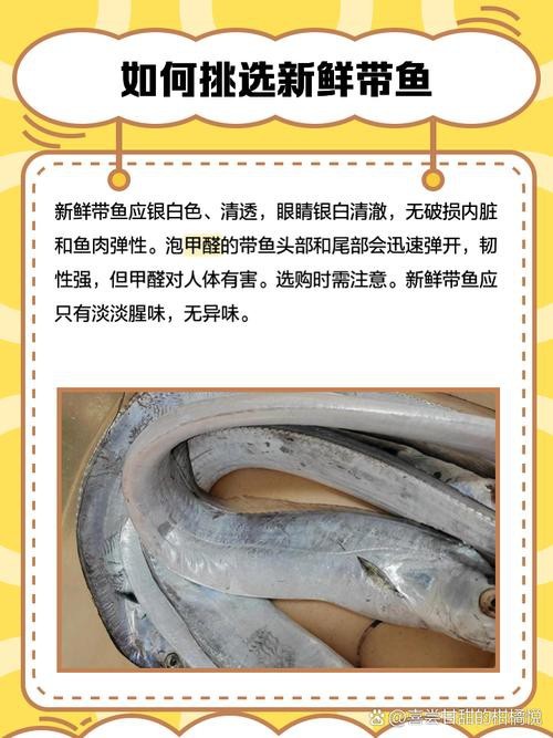 帶魚和刀魚的圖片