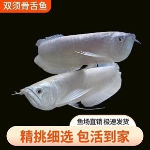 <strong><mark>梁山</mark></strong>縣魚友樂水族館：<strong><mark>梁山</mark></strong>魚館電話是多少