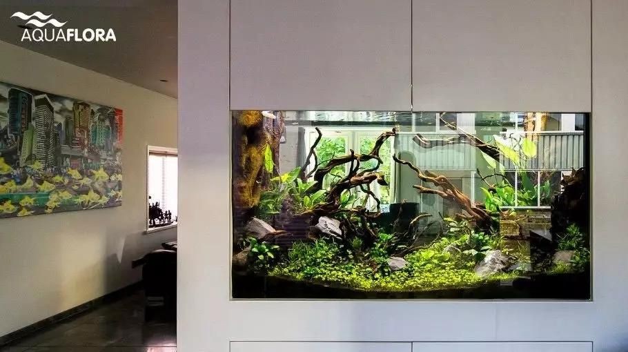 龍魚缸制作視頻教程全集免費觀看：diy龍魚缸制作視頻教程全集免費觀看