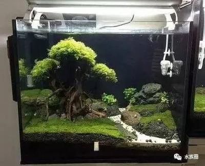 龍魚缸制作視頻教程全集免費觀看：diy龍魚缸制作視頻教程全集免費觀看