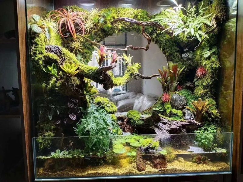 龍魚缸制作視頻教程全集免費觀看：diy龍魚缸制作視頻教程全集免費觀看