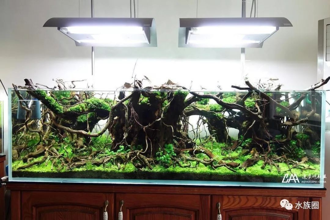 龍魚缸制作視頻教程全集免費觀看：diy龍魚缸制作視頻教程全集免費觀看