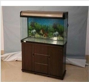 什么品牌魚缸過濾系統最好：魚缸過濾器十大品牌排行榜