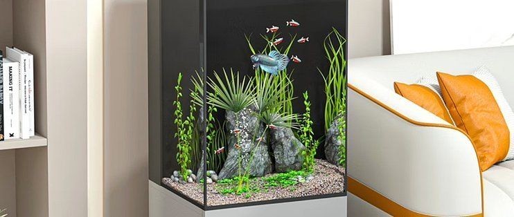 漢霸魚缸怎么樣好用嗎知乎：漢霸魚缸與其他品牌對比,漢霸魚缸適用魚類推薦