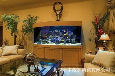 專業(yè)魚缸定制（專業(yè)魚缸定制需要考慮哪些問題） 專業(yè)魚缸定制（專業(yè)魚缸定制需要考慮哪些問題） 魚缸百科 第5張