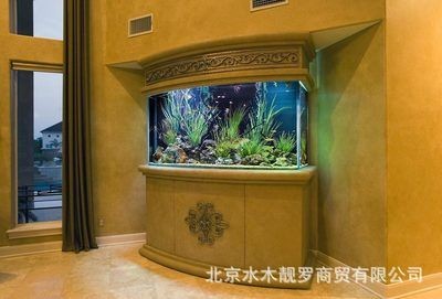 專業(yè)魚缸定制（專業(yè)魚缸定制需要考慮哪些問題） 專業(yè)魚缸定制（專業(yè)魚缸定制需要考慮哪些問題） 魚缸百科 第3張