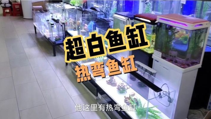 非凡魚缸哪里生產的好（生態魚缸的養護秘籍）