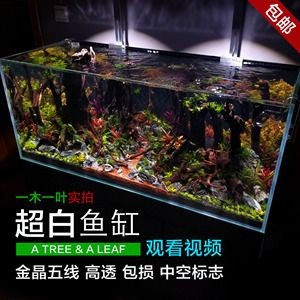 魚缸介紹視頻講解：有關魚缸介紹視頻講解的網站