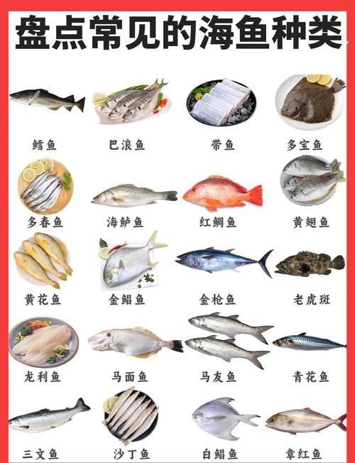 海魚全部品種圖片 海魚全部品種圖片 龍魚論壇 第3張