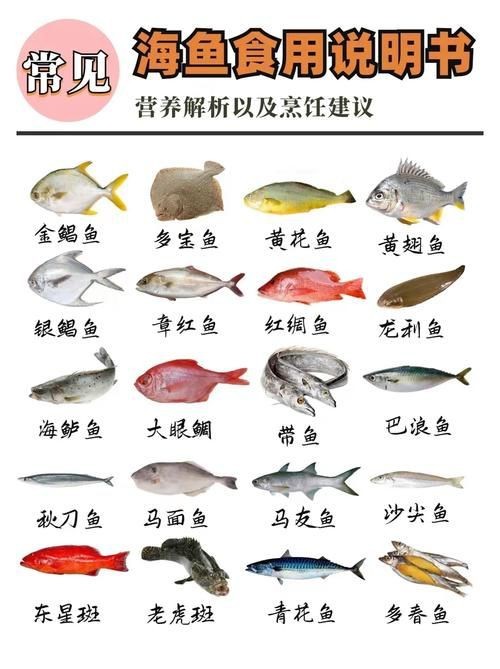 海魚全部品種圖片 海魚全部品種圖片 龍魚論壇 第8張