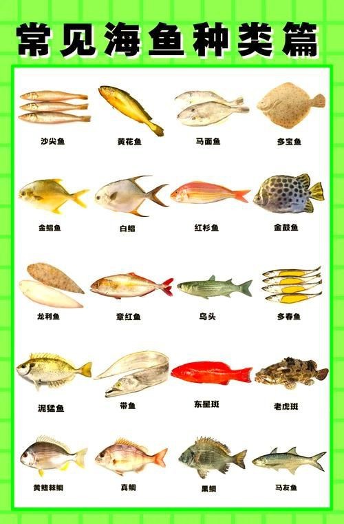 海魚全部品種圖片 海魚全部品種圖片 龍魚論壇 第9張