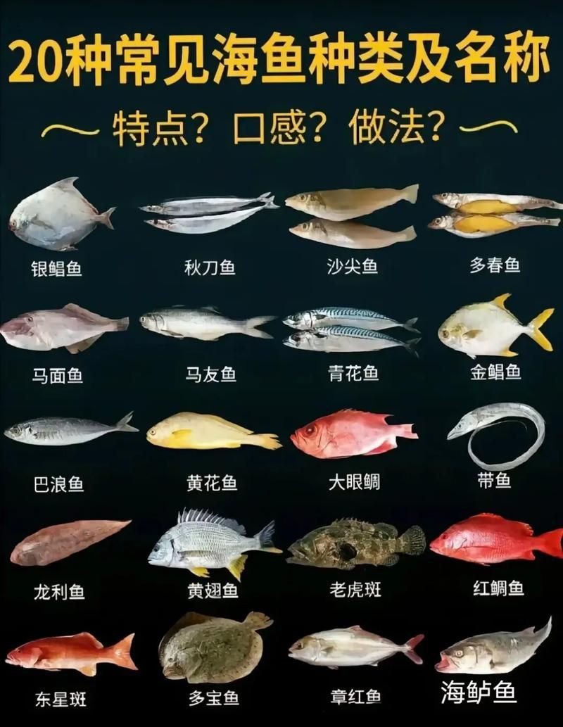 海魚全部品種圖片 海魚全部品種圖片 龍魚論壇 第17張
