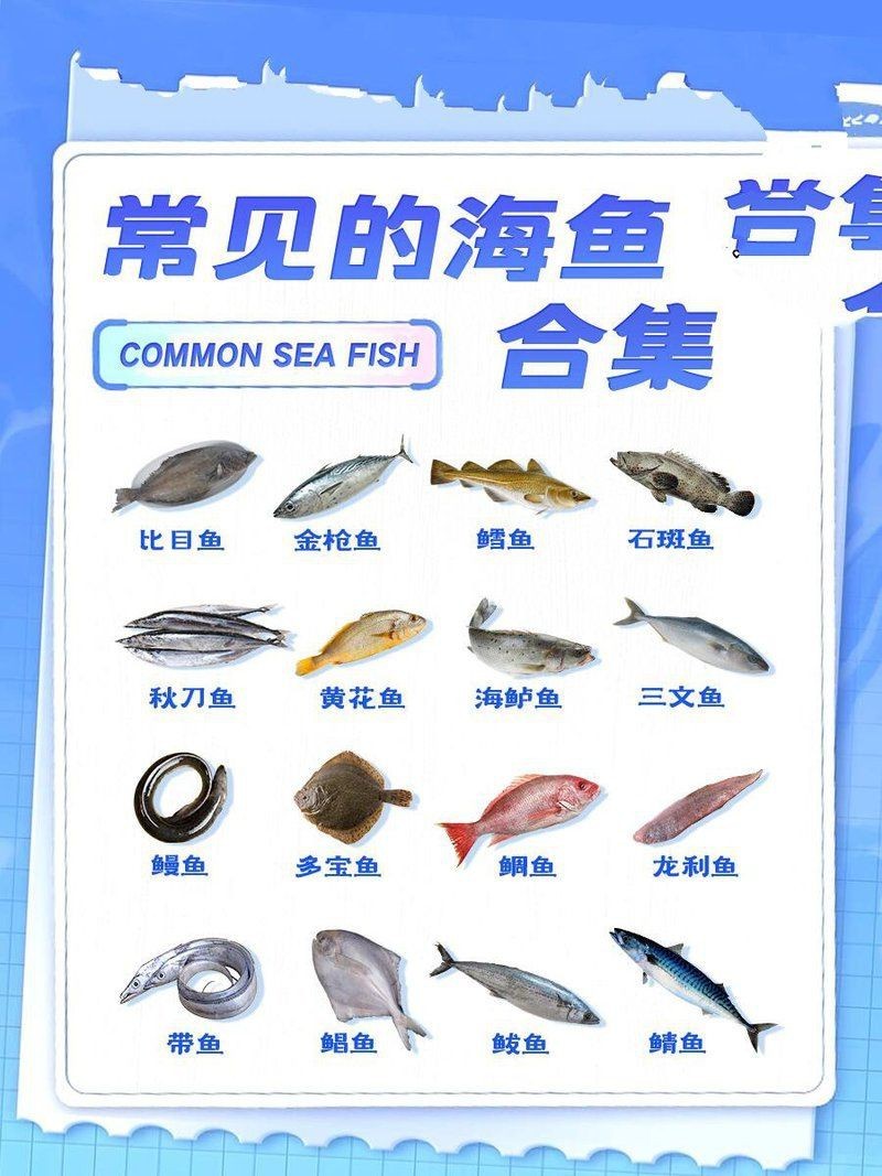 海魚全部品種圖片 海魚全部品種圖片 龍魚論壇 第28張