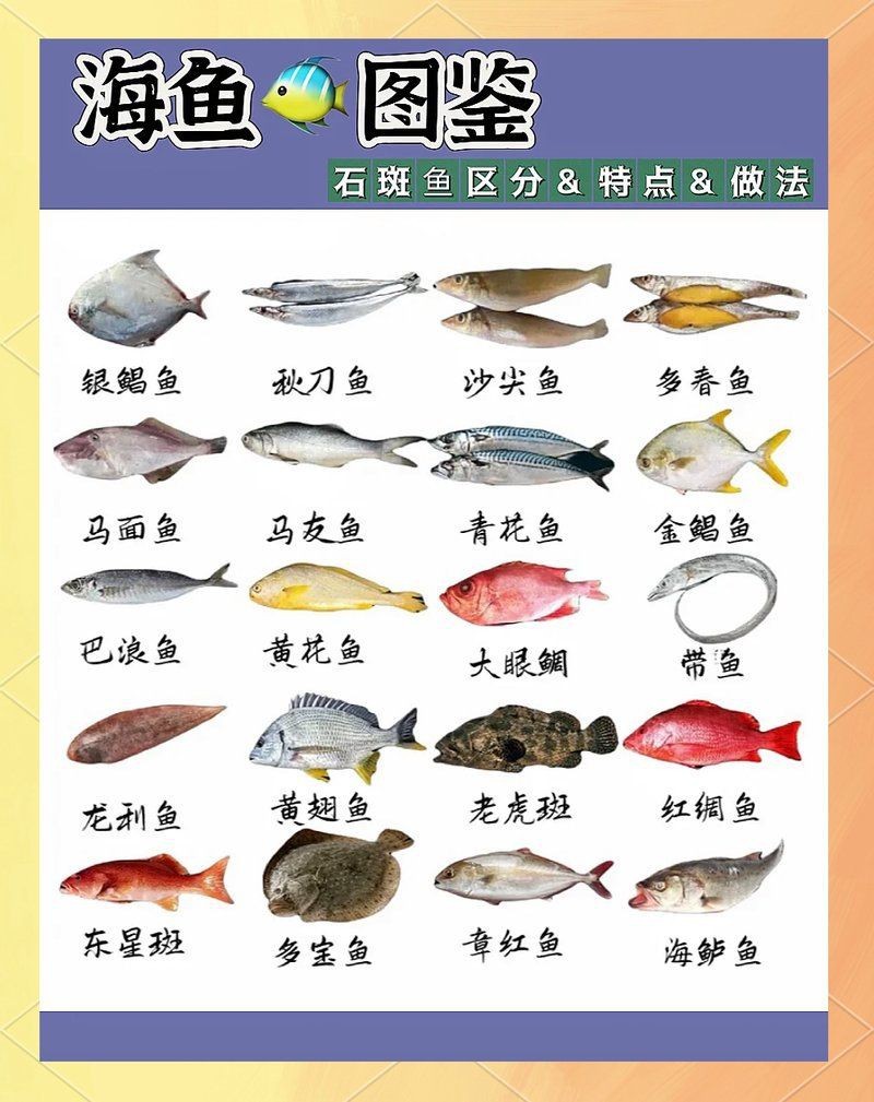 海魚全部品種圖片 海魚全部品種圖片 龍魚論壇 第30張