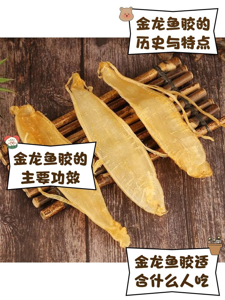 金龍魚膠是什么魚的膠