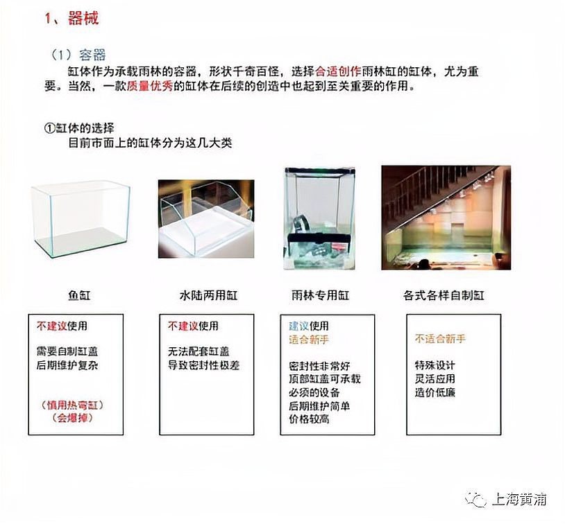 迪茨魚缸雨林缸 迪茨魚缸雨林缸 龍魚論壇 第2張