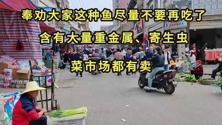 鱭魚為何盡量少吃