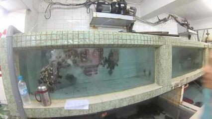 海鮮店魚缸價格因尺寸、材質、功能等因素而有所不同：如何選擇合適的海鮮店魚缸