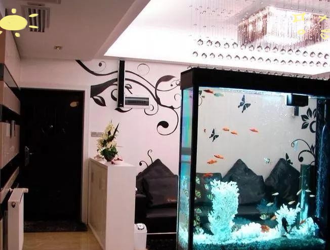 家中養魚6大風水禁忌