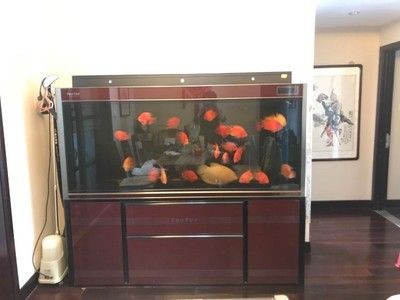 廣州魚缸回收廠家的信息可以在多個網(wǎng)站上找到以下網(wǎng)站和公司：廣州魚缸回收廠家信息