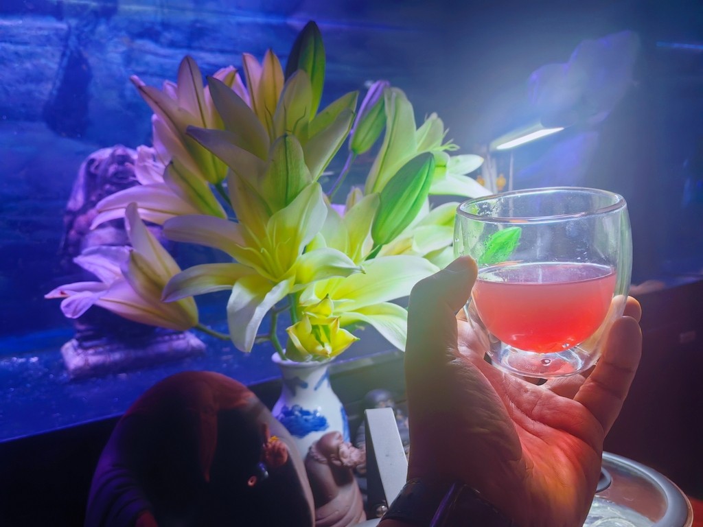 夜深，調(diào)酒獨斟…… 杯中琥珀流光，百合芬芳盈袖，孑然獨坐，對貓而酌……杯盞相影，冰塊與酒同泛，心情共夜色齊哀，嘆德國之逆旅，感世事之無常，每一盞盡處，喟然歐元之匯率……