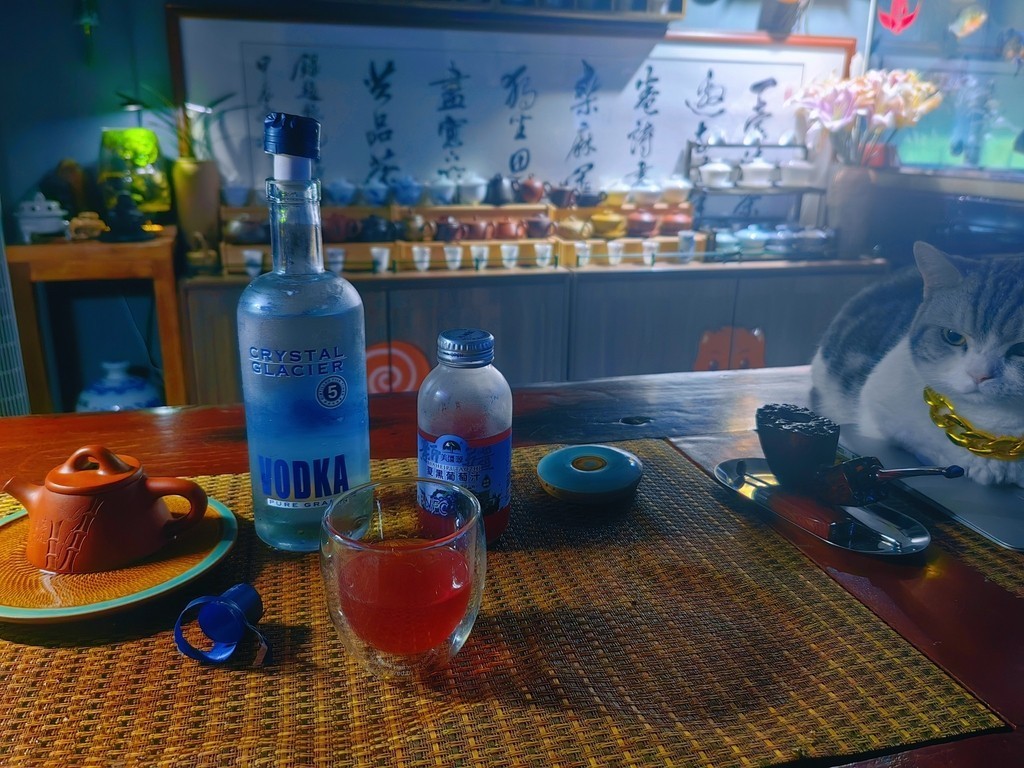 夜深，調(diào)酒獨斟…… 杯中琥珀流光，百合芬芳盈袖，孑然獨坐，對貓而酌……杯盞相影，冰塊與酒同泛，心情共夜色齊哀，嘆德國之逆旅，感世事之無常，每一盞盡處，喟然歐元之匯率……