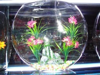 定制魚缸好還是成品魚缸好？：定制魚缸和成品缸的選擇對比分析成品魚缸可能是更好的選擇