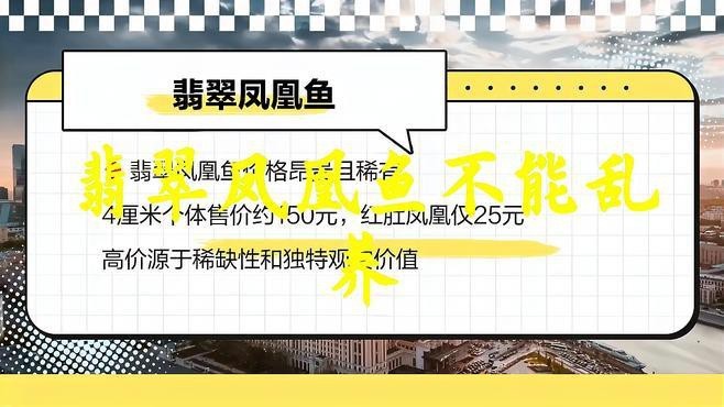 翡翠鳳凰魚最貴三個品種