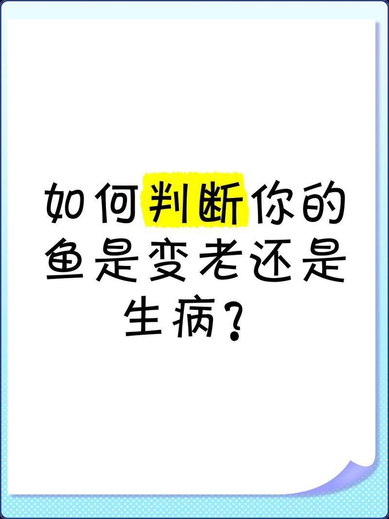 龍魚喂食面包蟲的頻率應(yīng)該是多久一次?,面包蟲喂龍魚需要弄死嗎 龍魚百科 第2張 龍魚喂食面包蟲的頻率應(yīng)該是多久一次?,面包蟲喂龍魚需要弄死嗎 龍魚喂食面包蟲的頻率應(yīng)該是多久一次?,面包蟲喂龍魚需要弄死嗎 龍魚百科 第2張