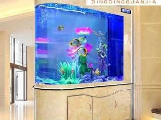 底濾魚缸怎么清理視頻（底濾魚缸清潔誤區）