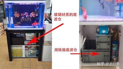 底濾魚缸怎么清理視頻（底濾魚缸清潔誤區）