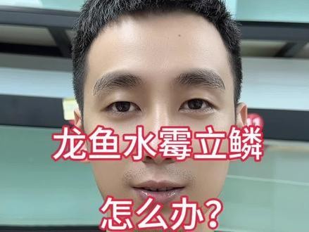 海口龍魚治療