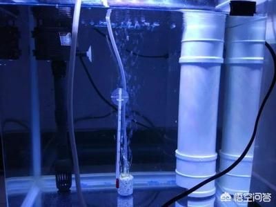 魚缸硝化細菌培養方法：新手養魚怎么快速培養硝化細菌培養硝化細菌培養方法