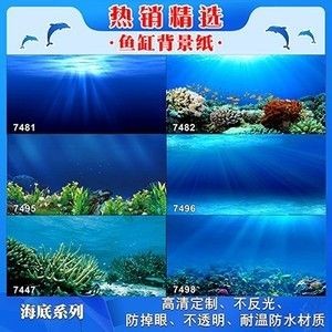 魚缸背景貼紙?jiān)鯓诱迟N：魚缸背景貼紙的粘貼方法