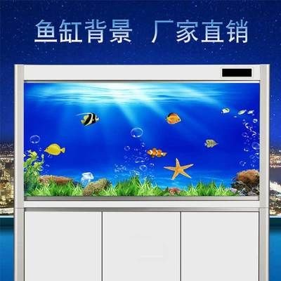 魚缸背景貼紙?jiān)鯓诱迟N：魚缸背景貼紙的粘貼方法